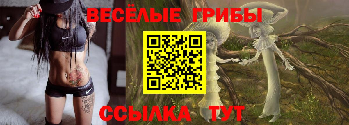 Галлюциногенные грибы Magic Shrooms Ярцево